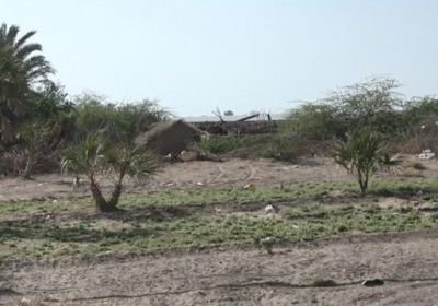 حشود عسكرية للمليشيات الحوثية صوب منطقة الجبلية بالحديدة 