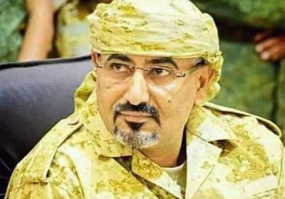 الزبيدي: الانتقالي مستعد للعمل بشكل مسؤول مع التحالف على إنهاء الأزمة