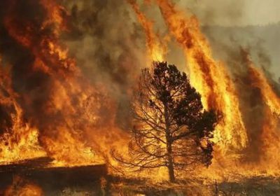 إجلاء 1000 شخصًا عقب نشوب حريق هائل بإحدى غابات إسبانيا