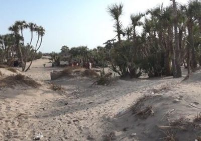 مليشيات الحوثي تقصف مواقع القوات المشتركة في الجبلية 