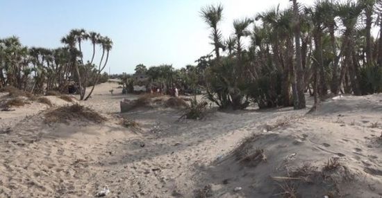 مليشيات الحوثي تقصف مواقع القوات المشتركة في الجبلية 