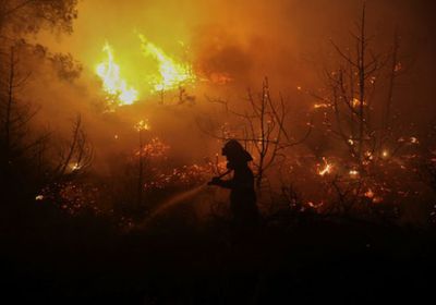 بالصور.. حريق ضخم بغابات جزيرة إيفيا اليونانية.. و120 رجل إطفاء يسيطرون