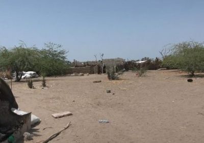 مليشيا الحوثي تستهدف مواقع القوات المشتركة بالجبلية