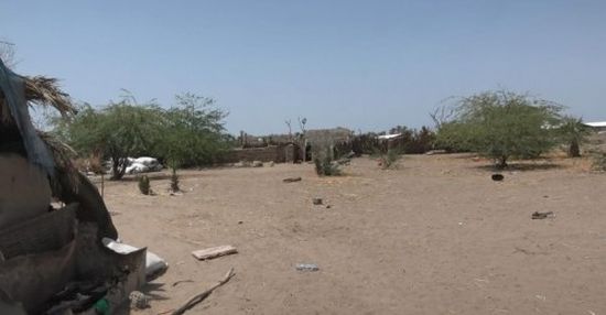 مليشيا الحوثي تستهدف مواقع القوات المشتركة بالجبلية
