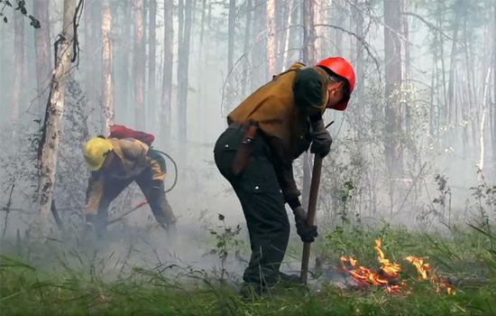  الحماية الجوية الروسية توضح حقيقة تقلص حرائق الغابات بسيبيريا.. (صور)