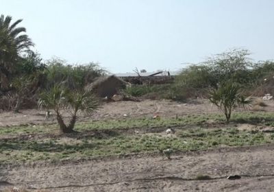 مليشيات الحوثي تقصف مواقع القوات المشتركة في الجبلية 