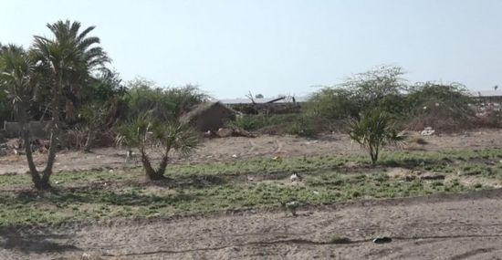 مليشيات الحوثي تقصف مواقع القوات المشتركة في الجبلية 