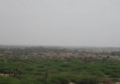 مليشيات الحوثي تقصف مواقع القوات المشتركة في منطقة الفازة