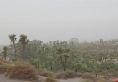 مليشيات الحوثي تقصف مواقع القوات المشتركة في الجبلية بالحديدة