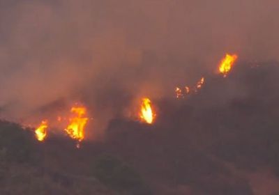 حريق ضخم بغابات في جزر الكناري.. والسلطات الإسبانية تخلي المنطقة