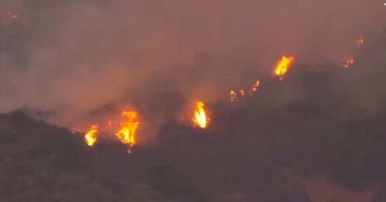 حريق ضخم بغابات في جزر الكناري.. والسلطات الإسبانية تخلي المنطقة