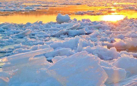 تحذيرات من تغير المناخ وتراجع جليد القطب الشمالي