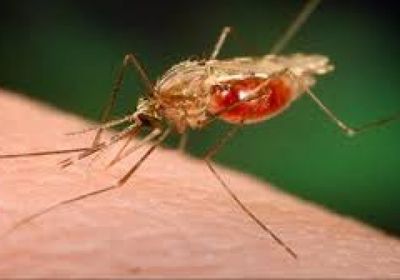 الصحة العالمية: 6 ملايين إصابة بالملاريا في بوروندي خلال 2019