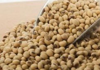 بكين تتخذ إجراء تجارى انتقامى ضد أمريكا بفرض رسوم جمركية إضافية على فول الصويا