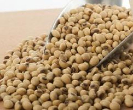 بكين تتخذ إجراء تجارى انتقامى ضد أمريكا بفرض رسوم جمركية إضافية على فول الصويا