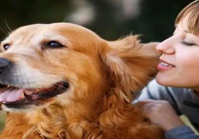 دراسة.. الكلاب تحافظ على صحة قلوب أصحابها