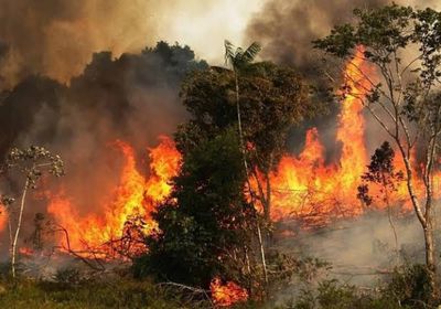 الرئاسة البرازيلية تأمر بنشر قوات الجيش لمكافحة حرائق غابات الأمازون