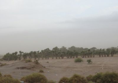 مليشيا الحوثي تستهدف مواقع القوات المشتركة في الفازة