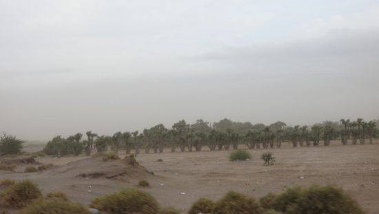 مليشيا الحوثي تستهدف مواقع القوات المشتركة في الفازة