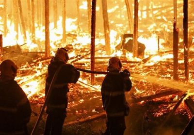 44 ألف جندي برازيلي اتجهوا نحو 6 ولايات لمواجهة حرائق غابات الأمازون