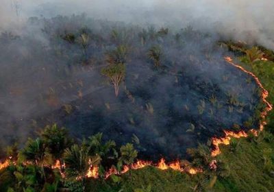 الجيش البرازيلي يطلق عملية كبيرة للسيطرة على حرائق الأمازون