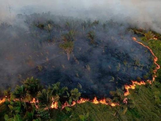 الجيش البرازيلي يطلق عملية كبيرة للسيطرة على حرائق الأمازون