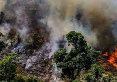 البرازيل ترفض مساعدة دول مجموعة السبع لإخماد حرائق غابات الأمازون