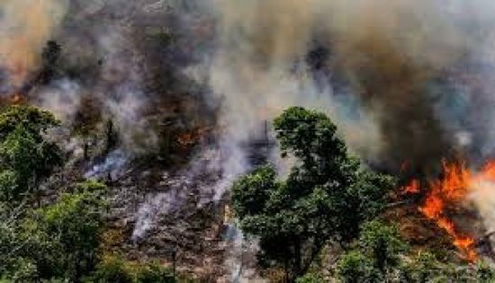 البرازيل ترفض مساعدة دول مجموعة السبع لإخماد حرائق غابات الأمازون