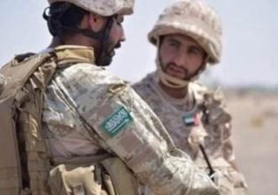 "الوطن": مليشيات الإخوان لن تنجح في مخططها الإرهابي باليمن