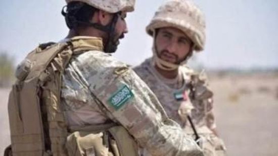 "الوطن": مليشيات الإخوان لن تنجح في مخططها الإرهابي باليمن