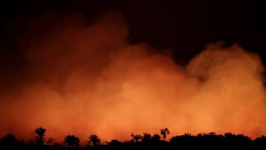 وزير الدفاع البرازيلي: حرائق الغابات في البلاد كارثية ولكنها تحت السيطرة