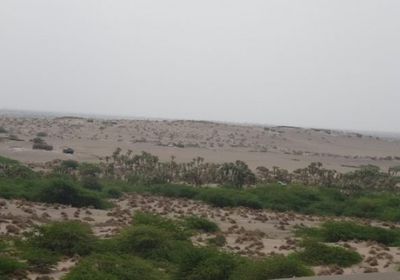 قصف حوثي مكثف على مواقع القوات المشتركة في الحديدة