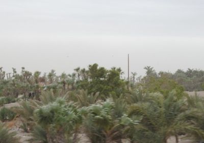 مليشيات الحوثي تقصف مواقع القوات المشتركة في الفازة بالتحيتا