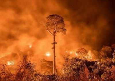 البرازيل ترحّب بكل المساعدات الأجنبية لمكافحة حرائق غابات الأمازون