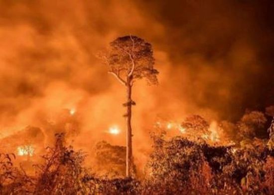 البرازيل ترحّب بكل المساعدات الأجنبية لمكافحة حرائق غابات الأمازون