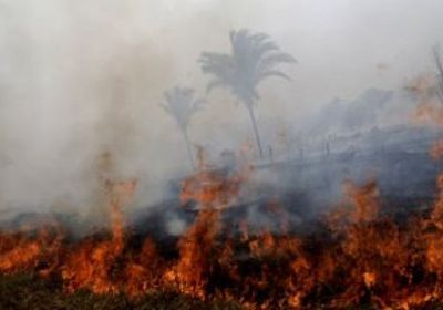 بيرو وكولومبيا تدعوان إلى قمة طارئة بشأن حرائق الأمازون