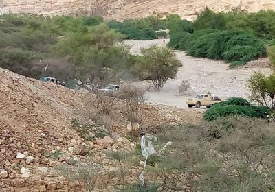 عاجل..هروب مليشيات الإخوان من أبين إلى شبوة بعد خسائرها الكبيرة (صور)