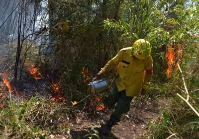 البرازيل توافق على مساعدات بريطانيا لمكافحة حرائق الأمازون (صور)