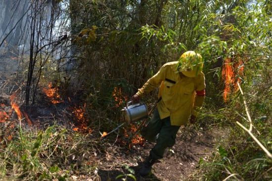 البرازيل توافق على مساعدات بريطانيا لمكافحة حرائق الأمازون (صور)