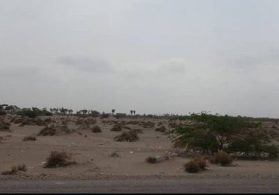 القوات المشتركة تتصدى لهجوم حوثي في الجبلية وقتلى بصفوف المليشيات