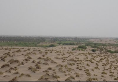 مليشيات الحوثي تستهدف مواقع القوات المشتركة في الجبلية بالحديدة 