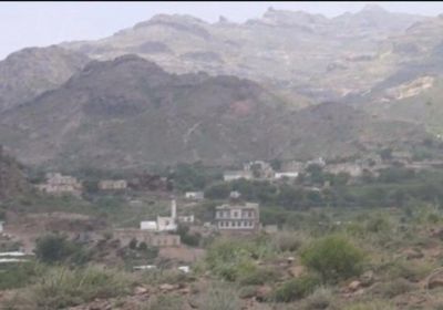 استشهاد مسن برصاص المليشيات الحوثية في شمال الضالع