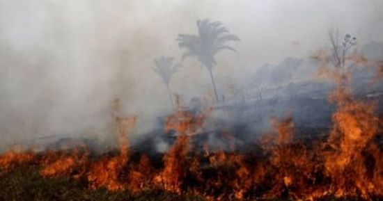 البرتغال: تحطم طائرة هليكوبتر خفيفة فى مكافحة حريق الغابات