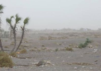 مليشيا الحوثي تواصل قصف مواقع القوات المشتركة بالفازة