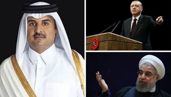 سياسي: قطر وإيران وتركيا خنجر مسموم في ظهر الأمة