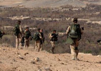 أمريكا ترحّب بنشر قوات دنماركية في شمال سوريا لقتال داعش