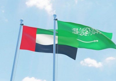 سياسي: البيان السعودي الإماراتي وجه صفعة لإعلاميين الفلس!
