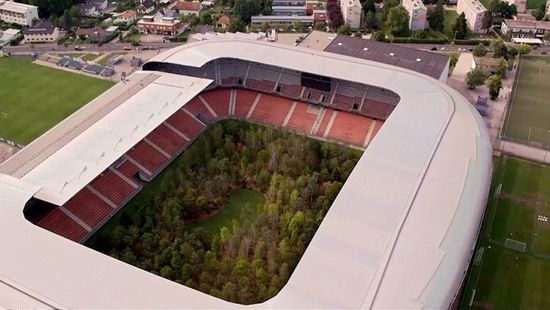 فنان نمساوي يحول ملعب كرة قدم إلى غابة بزراعة 300 شجرة
