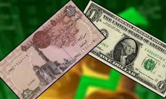 الدولار يتهاوي في مصر ويتراجع 8 قروش