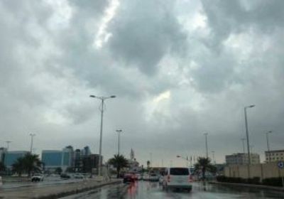 الأرصاد السعودية تحذر من نشاط الرياح في المدينة المنورة